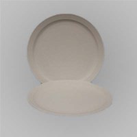 Bisqueware dinner plate 290mm x 290mm x 25mm