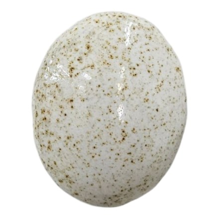 Stoneware-White-Speckle-Glaze-Northcote