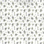 Tissue Transfer - Blueberries