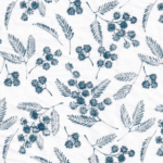 Tissue Transfer - Wattle