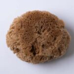 Natural Sea Sponge 4inch (Honeycomb)