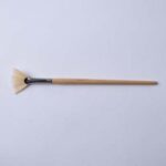 Brush BW0102 – Fan Brush