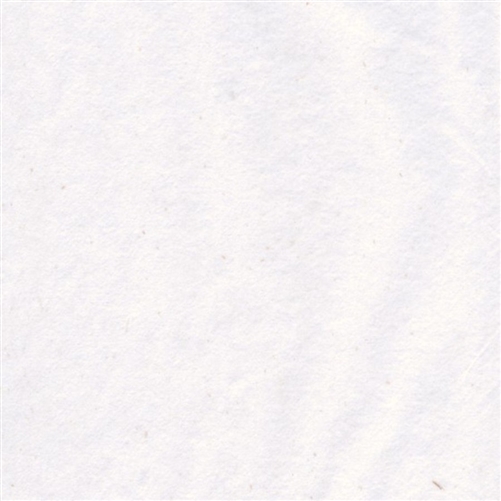 ceramic-tissue-transfer-no-print Tissue Transfer - No Print - Image 1