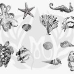 SILK SCREEN SEA LIFE