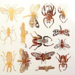 DECAL GOLD LUSTER INSECTS