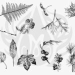 SILK SCREEN BOTANICAL LEAVES