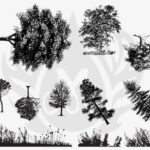 SILK SCREEN BOTANICAL TREES