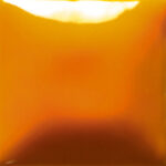 SC0978 CANT-ELOPE 236ML