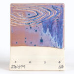 SW199 PURPLE ASTER - Image 4
